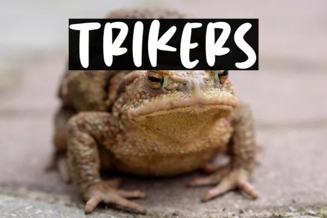 Trikers Example 1