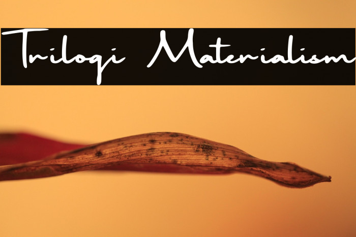 Trilogi Materialism Example 3