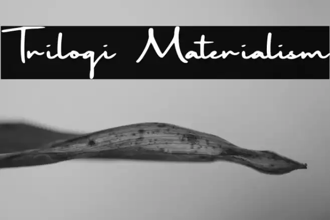 Trilogi Materialism Font examples