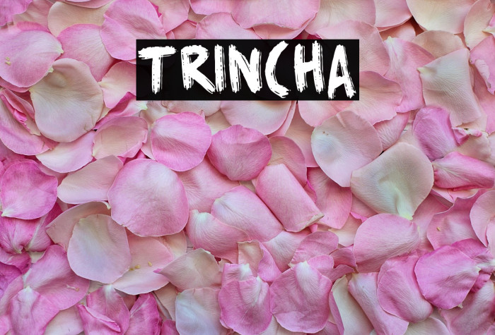 Trincha Example 1