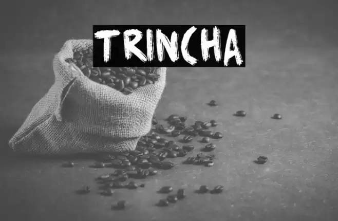 Trincha Font examples