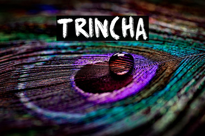 Trincha Example 3