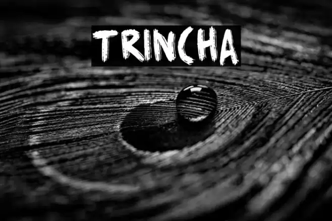 Trincha Font examples