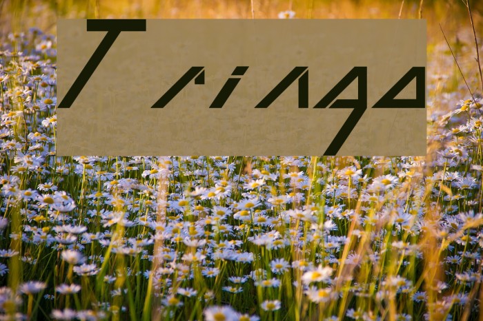 Tringo Font examples