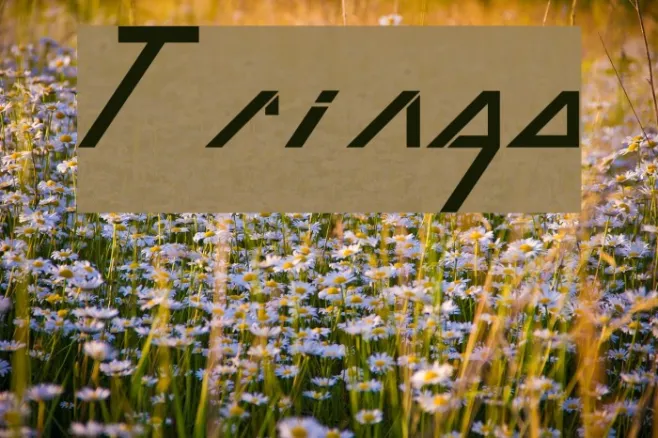 Tringo Example 1