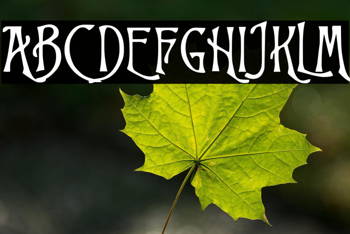 Trinigan FG Example 2