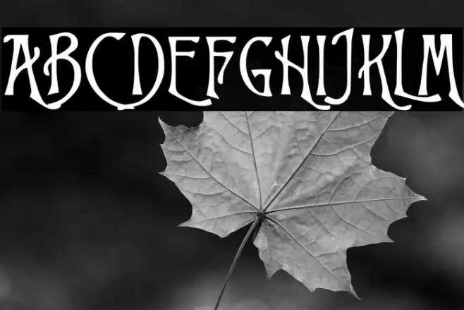 Trinigan FG Font examples