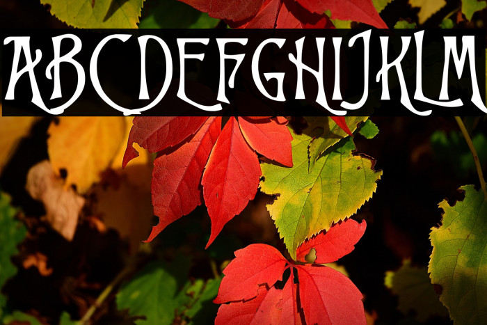 Trinigan FG Example 3