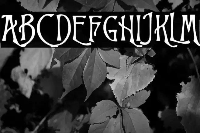 Trinigan FG Font examples