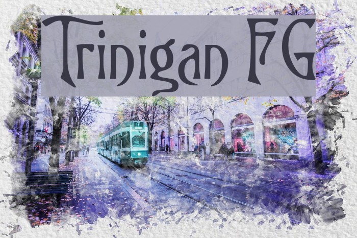 Trinigan FG Font examples