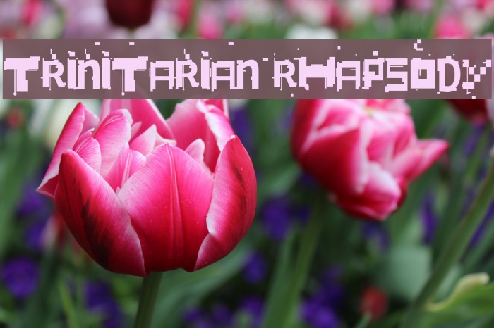Trinitarian Rhapsody Font examples