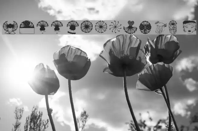 Trinkets3 Font examples