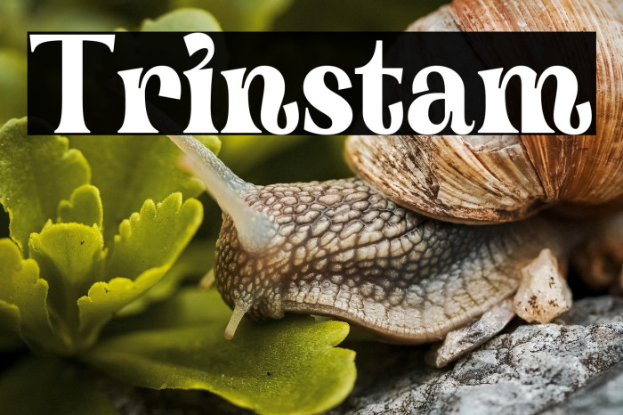 Trinstam Example 1