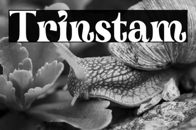 Trinstam Font examples
