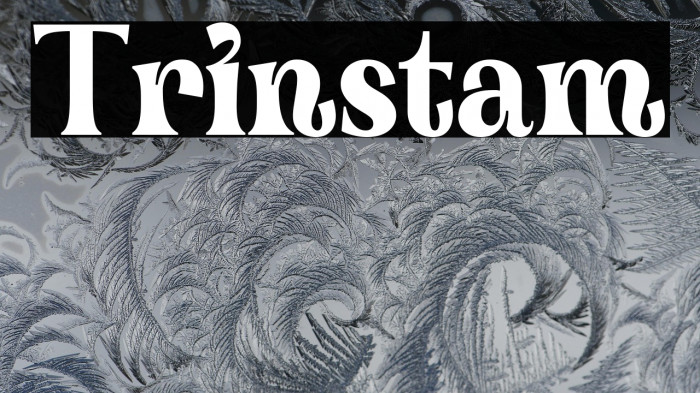 Trinstam Example 2