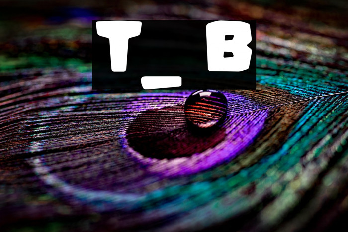 Trinta_quatro Bold Example 2