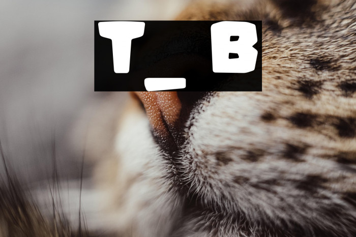 Trinta_quatro Bold Example 3