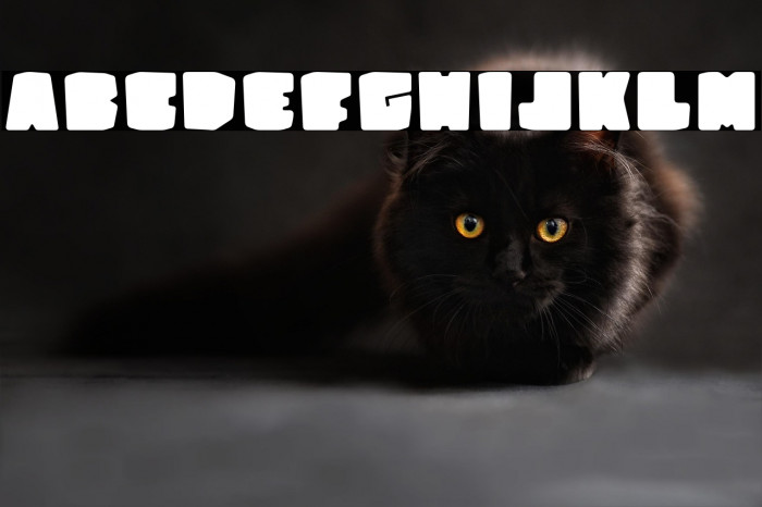 Trinta_quatro Fat Example 2