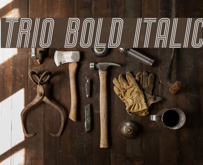 Trio Bold Italic Font examples