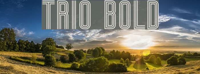 Trio Bold Font examples