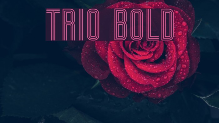Trio Bold Font examples