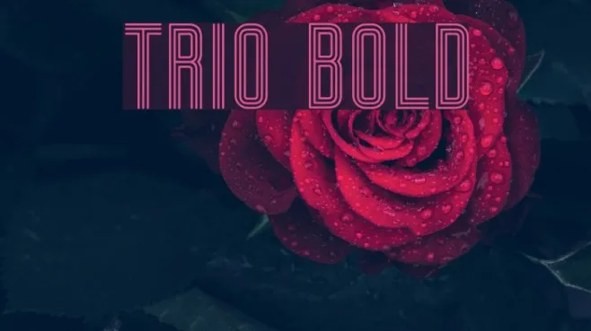Trio Bold Example 3