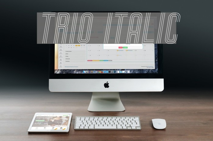 Trio Italic Font examples