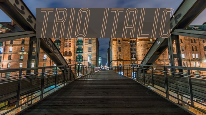 Trio Italic Font examples