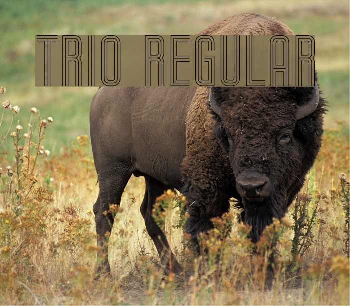Trio Regular Font examples