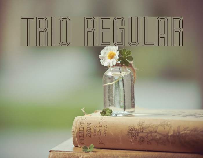 Trio Regular Font examples