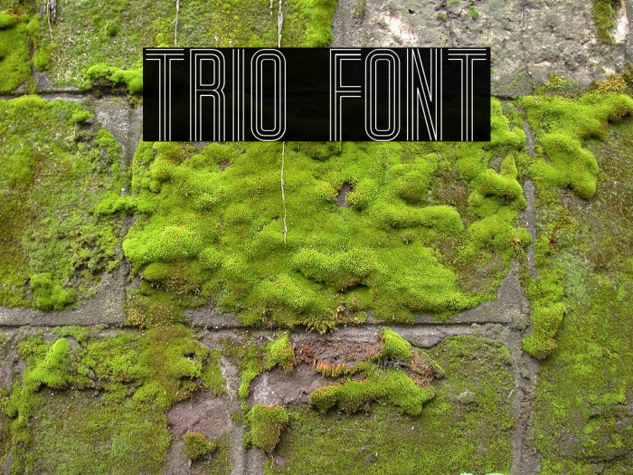 Trio Font examples
