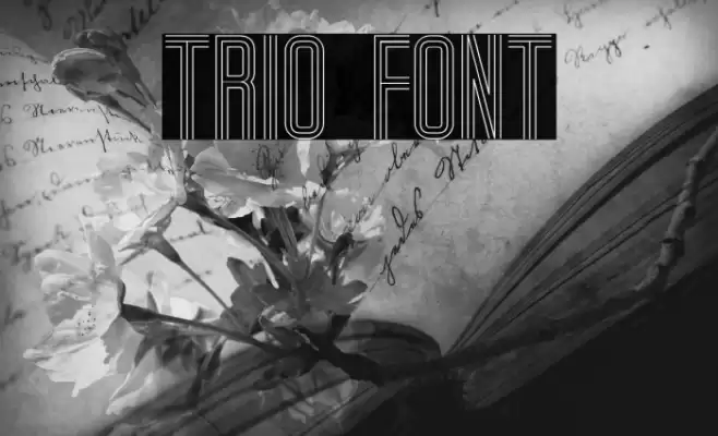 Trio Font examples