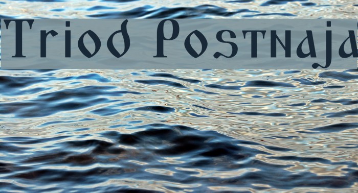 Triod Postnaja Font examples