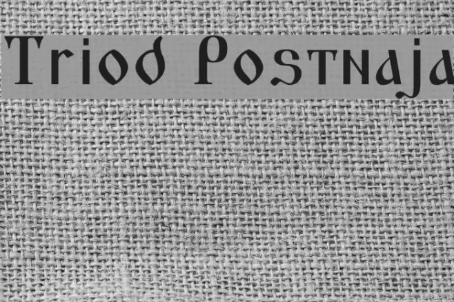 Triod Postnaja Schriftart examples