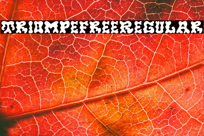 TriompeFree-Regular Example 1