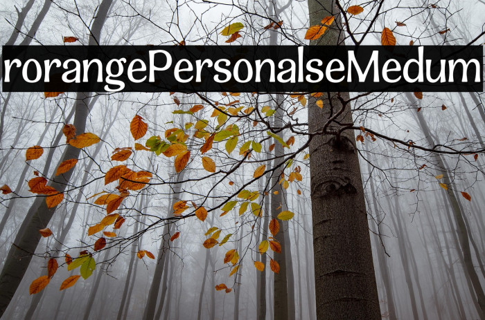 Triorange - Personal Use Medium Example 2