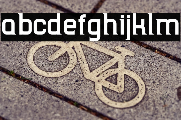 TripSerifCE Bold Example 1