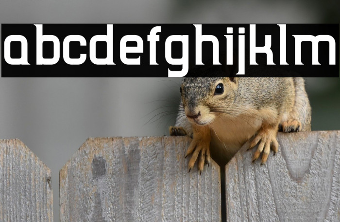 TripSerifCE Bold Example 2