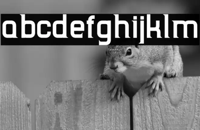 TripSerifCE Bold Font examples