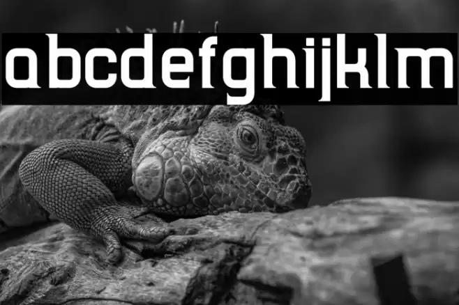 TripSerifCE Bold Font examples