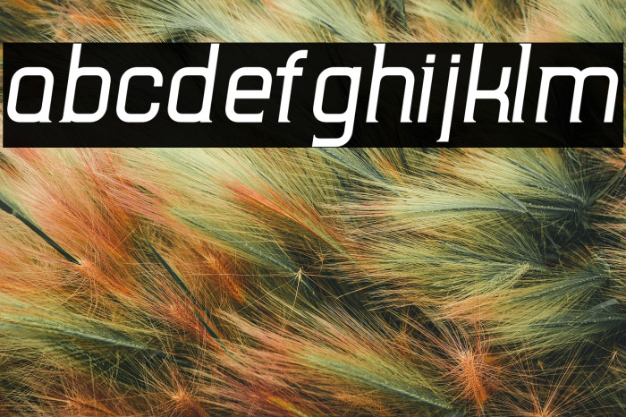 TripSerifCE Italic Example 2