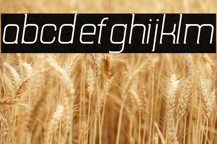 TripSerifCE Light Italic Example 2