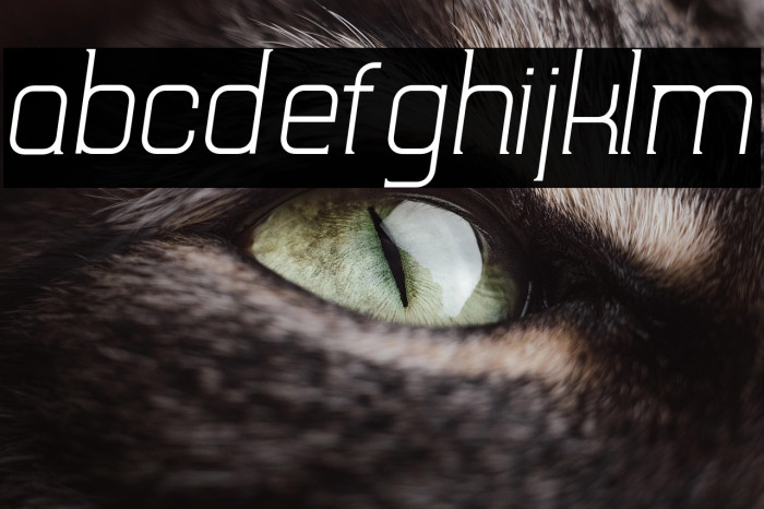 TripSerifCE Light Italic Example 3