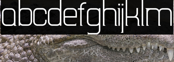 TripSerifCE Light Example 2