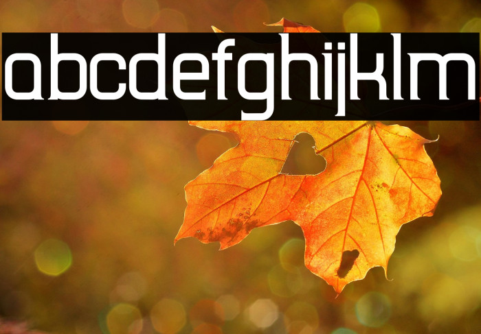 TripSerifCE Example 3