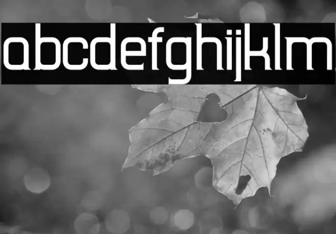 TripSerifCE Font examples