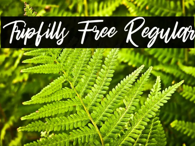 Tripfills Free Regular Example 1