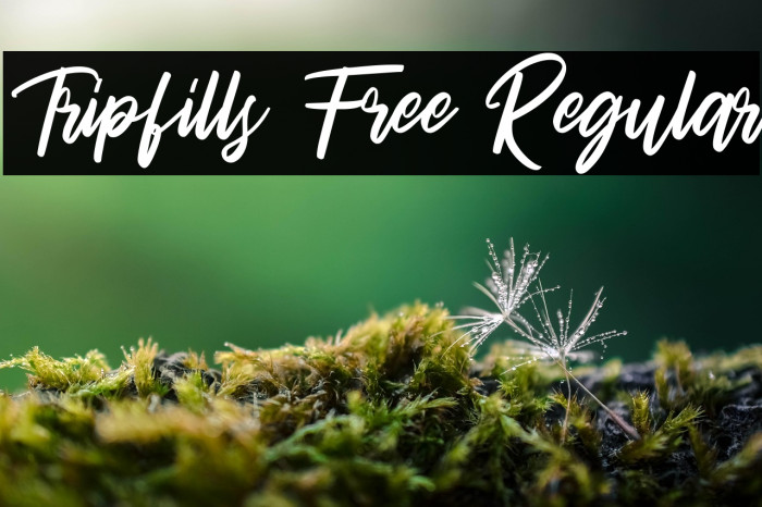 Tripfills Free Regular Example 3