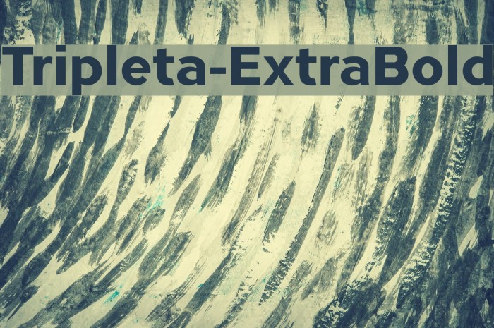 Tripleta-ExtraBold Font examples