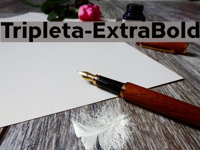 Tripleta-ExtraBold Font examples